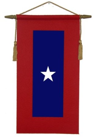 Vet-Flag.jpg (13772 bytes)